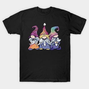 Groovy Gnome Gathering T-Shirt